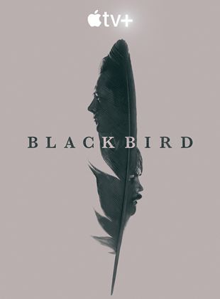 Black Bird French Stream