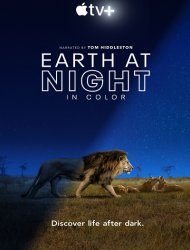 Earth At Night In Color Streaming VF VOSTFR