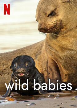 Wild Babies : Petits et Sauvages French Stream