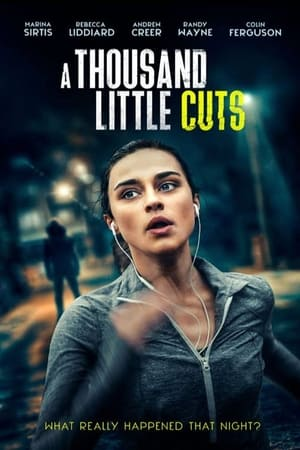 A Thousand Little Cuts Streaming VF VOSTFR